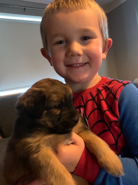 This class member has a new addition to his family to keep him company while he is home learning ...meet Teddy...just beautiful💕🐶