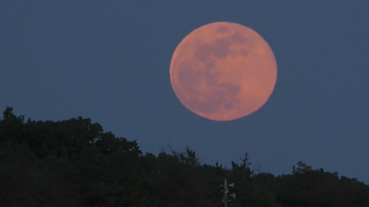 星ノ夜 風林 tweet media