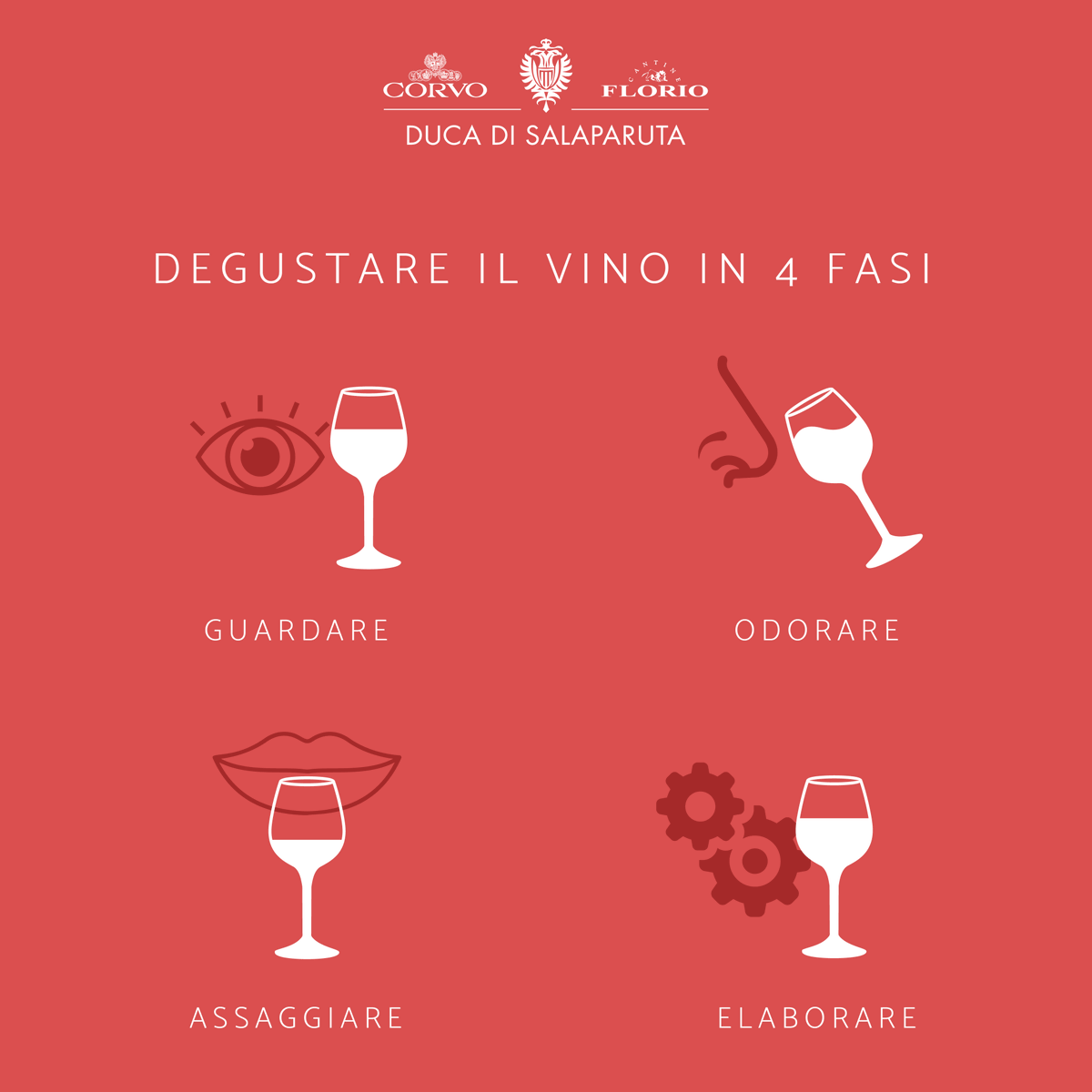 La degustazione di un vino è molto più di un semplice assaggio, ma è un'esperienza che coinvolge tutti i sensi attraverso queste quattro fasi. Qual è la vostra preferita? 🍷