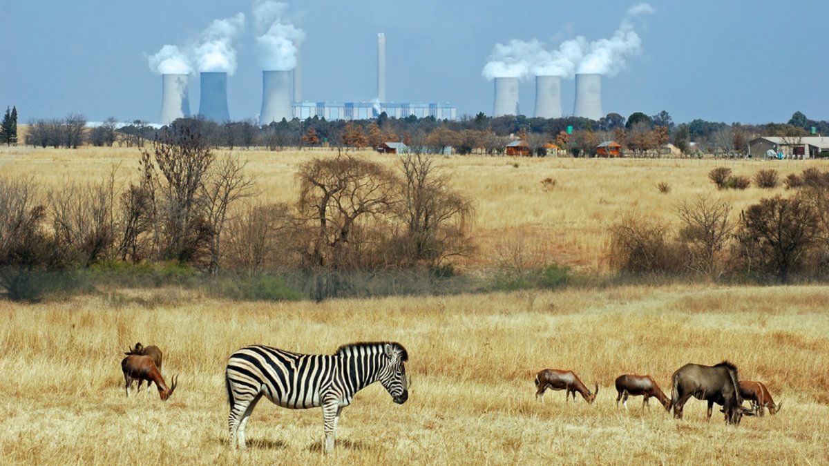 CapsCoalition's tweet photo. "The world is on track for devastating climate disruption from which no one can self-isolate," writes @antonioguterres in @nytimes.

'Human conduct is also leading to severe biodiversity loss, &amp; distorting the ecosystem processes that humans depend on.'

https://t.co/WiWYUmASi6 https://t.co/XplhsWgi6A