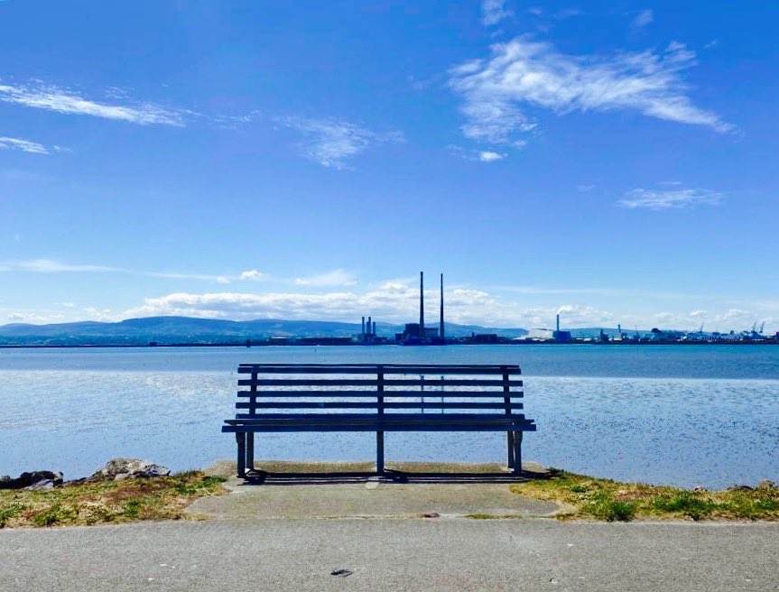 Jane Gunn tweet media