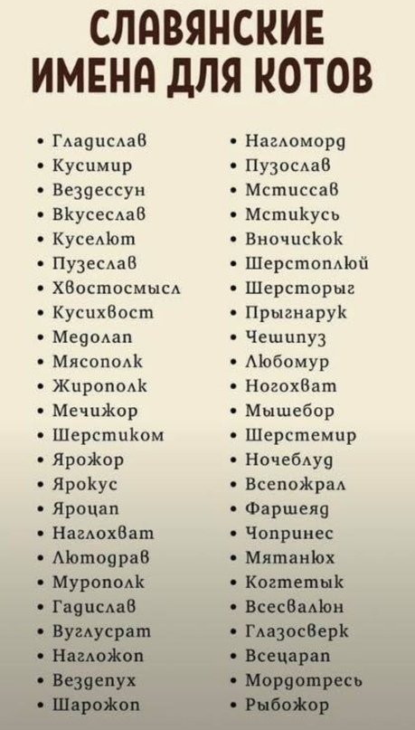 drunktwi's tweet photo. Берите на заметку https://t.co/XH006jcgNi