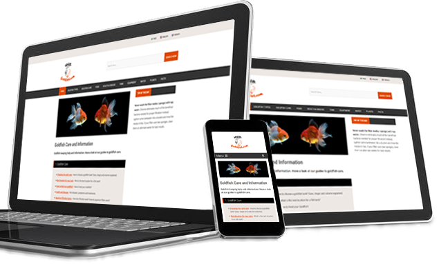 web_goldfish tweet picture