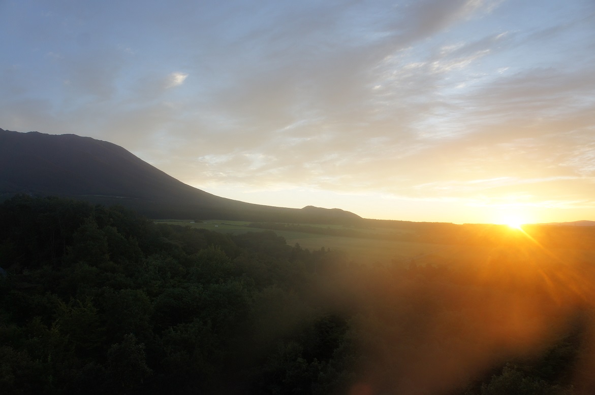 ゆこ たん ブログ