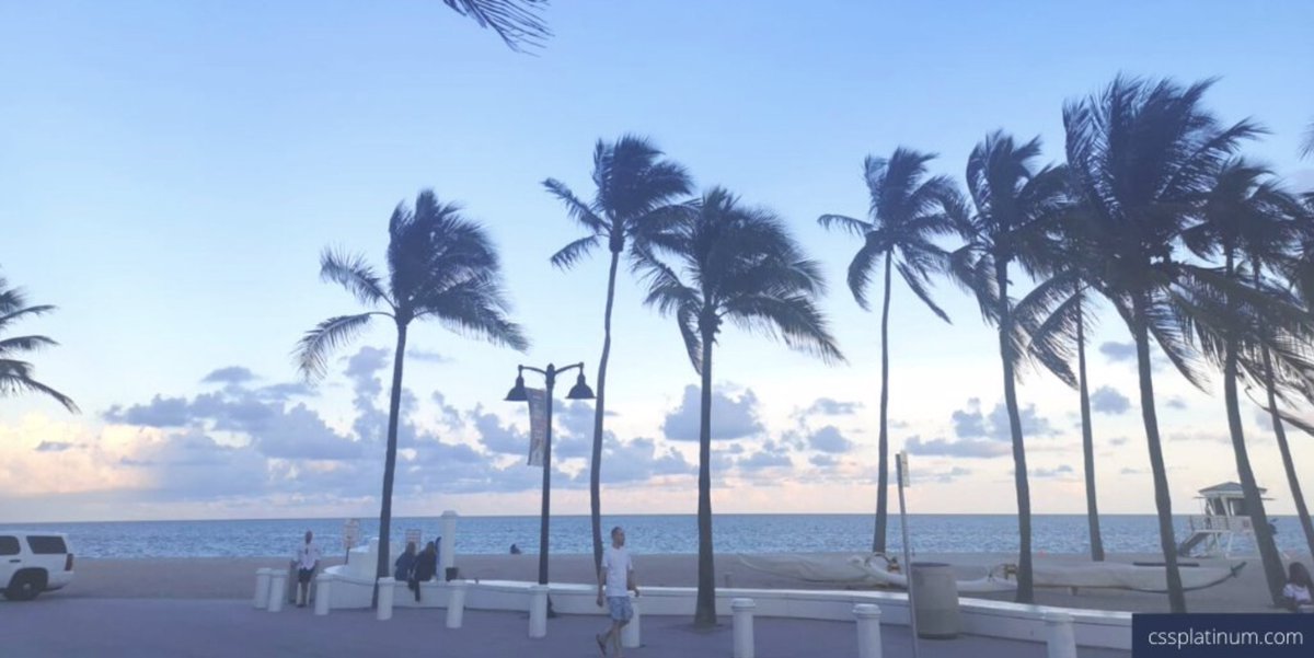 css_platinum's tweet photo. #Throwback to blue skies & palm trees at last years @flibsofficial Boat Show where we highlighted our discrete & comprehensive solutions that assure & protect your #privacy & #security https://t.co/QPFF1FzfWK #cybersecurity #Superyacht #cssplatinum https://t.co/WLcbBSK2d5