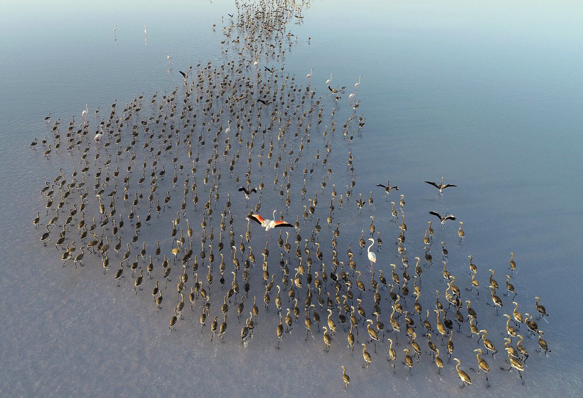 Murat KURUM tweet media