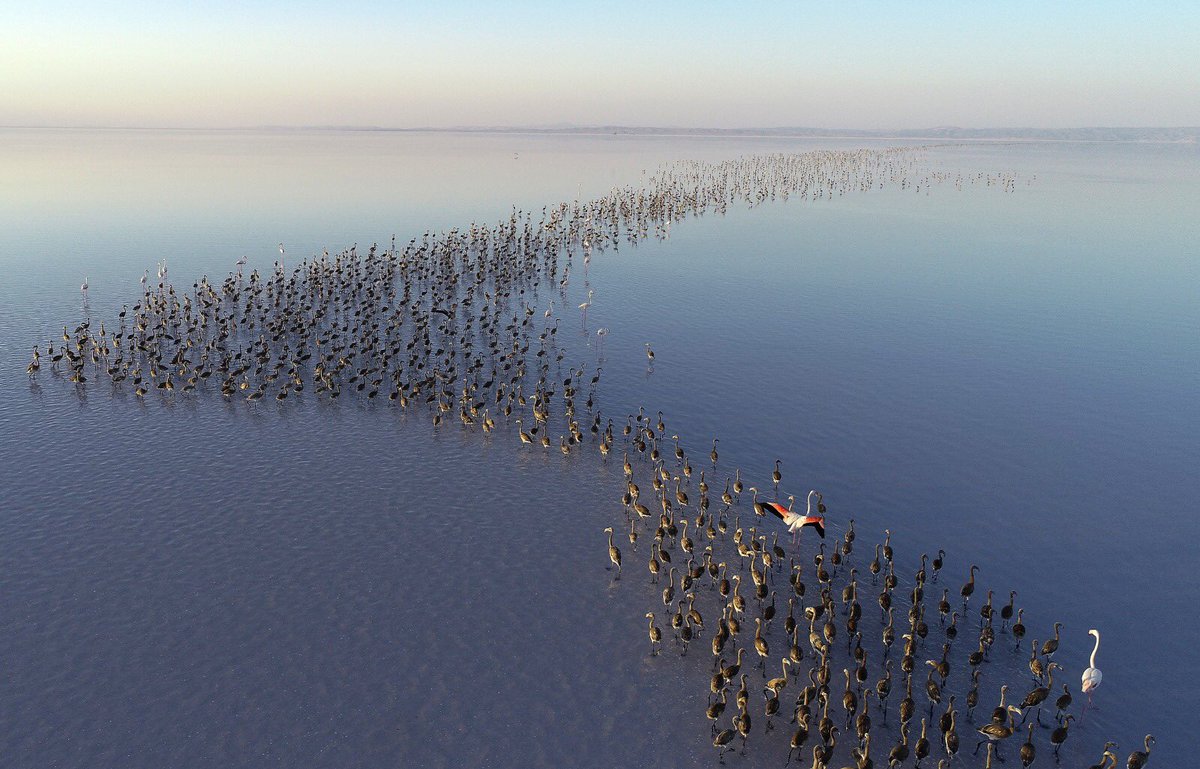 Murat KURUM tweet media