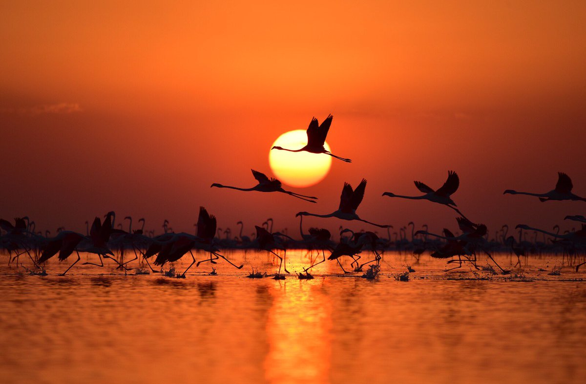 Murat KURUM tweet media