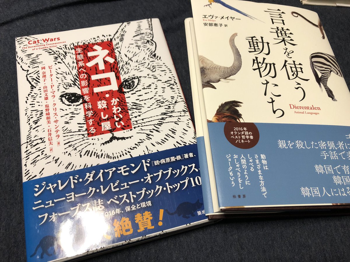 Amazonで本ばかり買ってしまってヤバイので、リアル書店でも本を買うことでバランスをとった(なんの) 