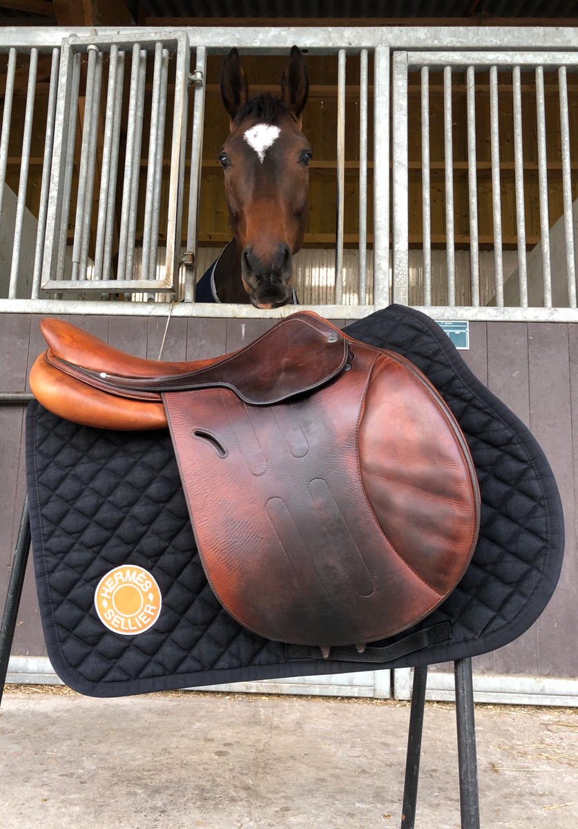 Astier Nicolas tweet media