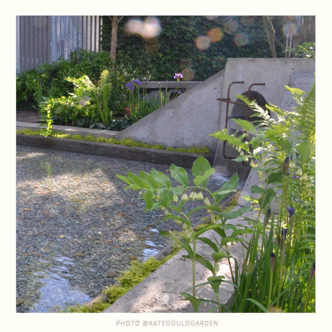 Kate Gould Gardens tweet media