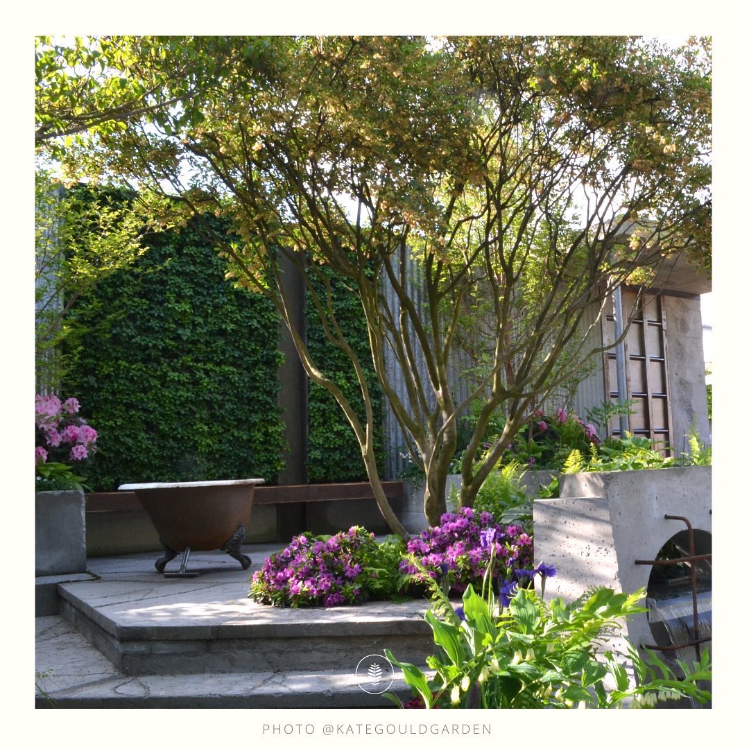 Kate Gould Gardens tweet media