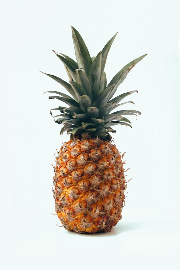 Xiaojun as pineapple