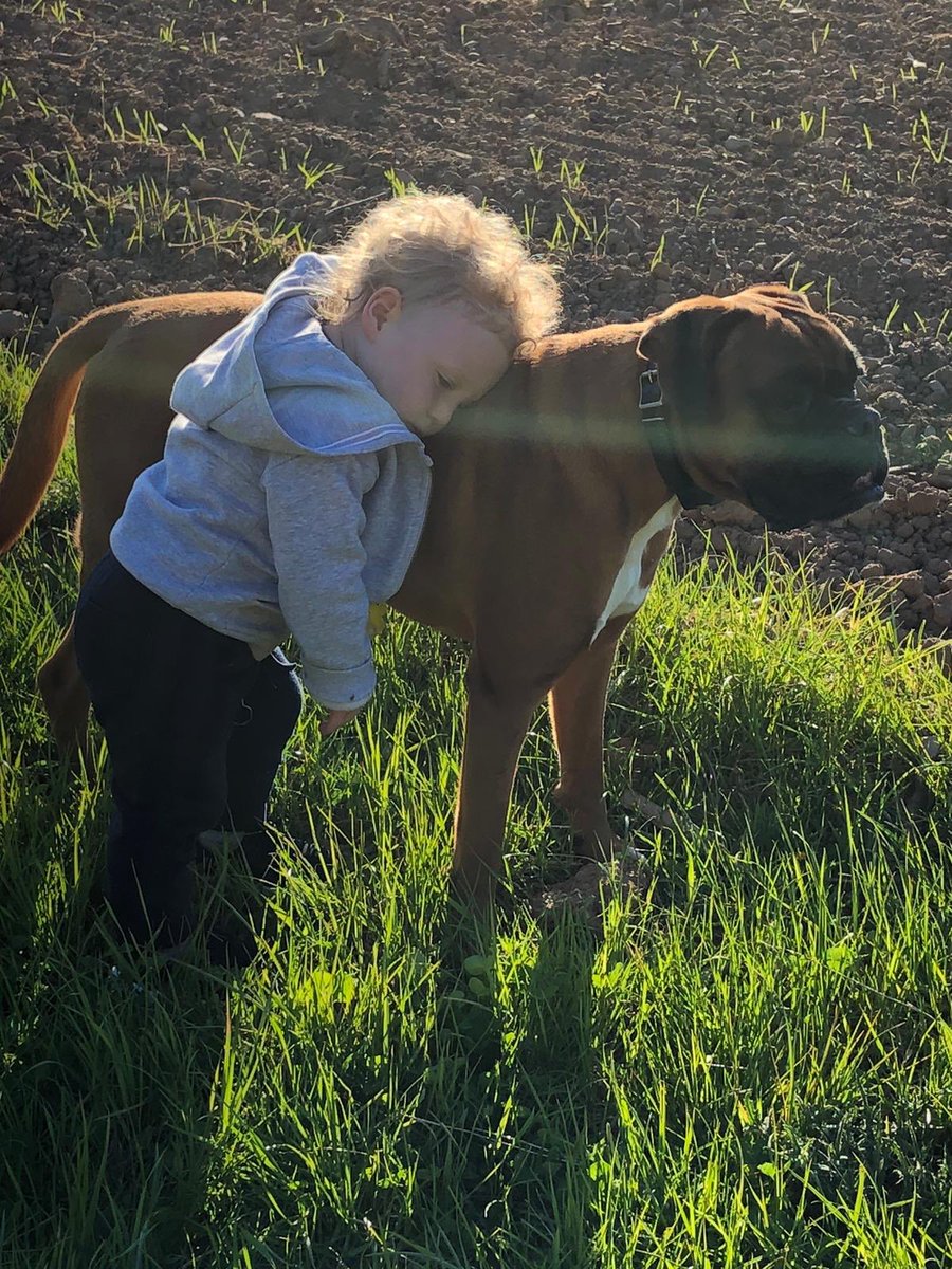 Arnie, any chance of a piggy back?