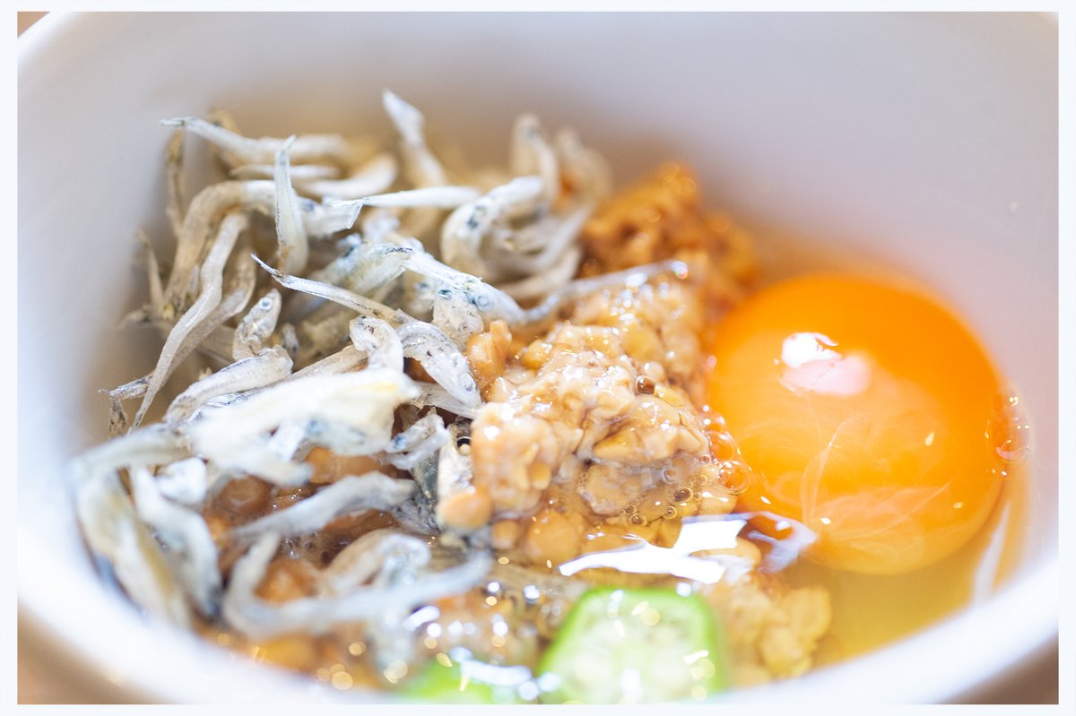 長谷川 栄介 tweet media