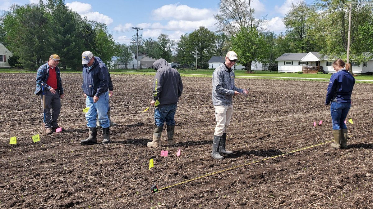 harder_dana's tweet photo. @BurrusSeed MO/WIL team brushing up on net effective stand evaluation.  Paying attention to how the crop starts out can give you great insight later in the growing season. @topplanter1 https://t.co/TFhqTDKyrk