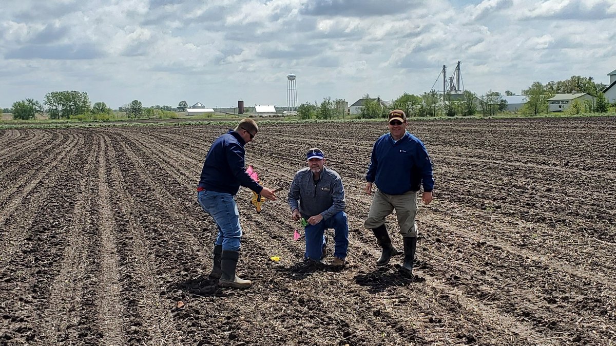 harder_dana's tweet photo. @BurrusSeed MO/WIL team brushing up on net effective stand evaluation.  Paying attention to how the crop starts out can give you great insight later in the growing season. @topplanter1 https://t.co/TFhqTDKyrk