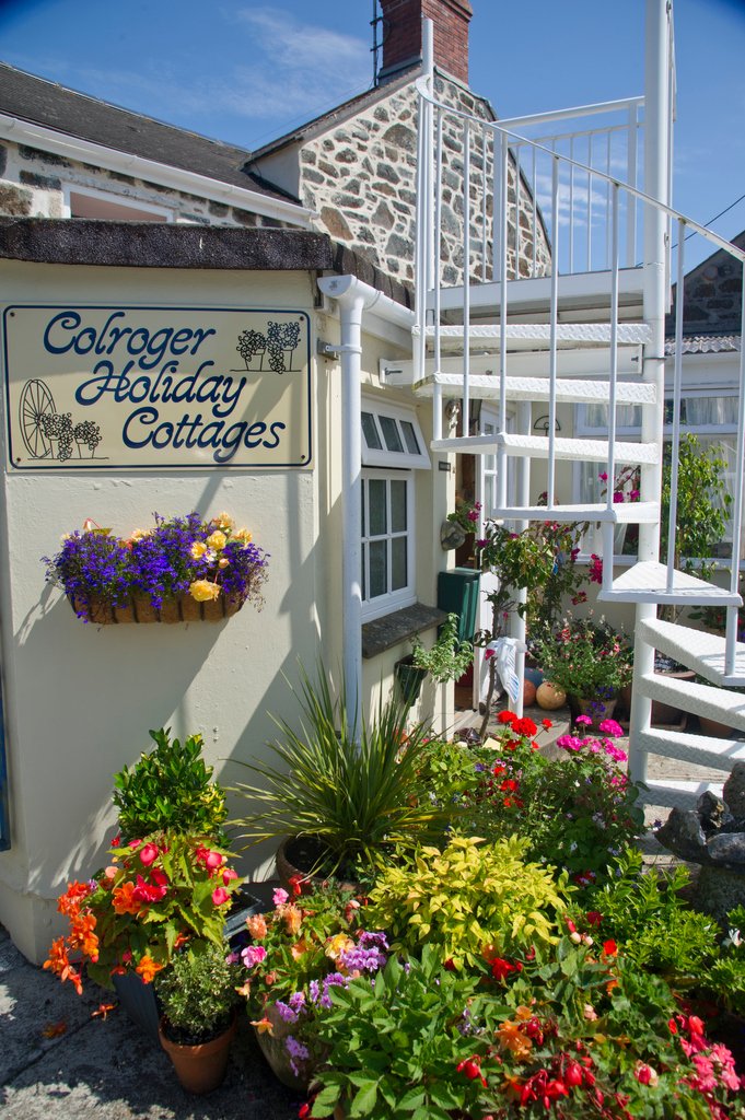 Colroger Holidays tweet media