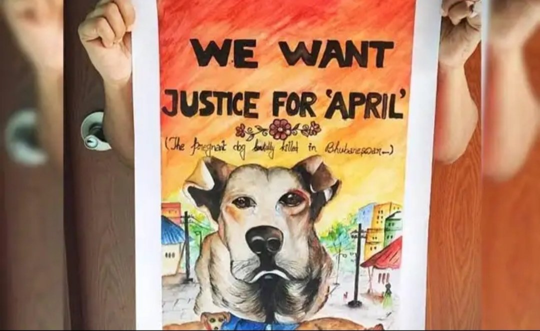 NehansuY's tweet photo. Punish the woman who allegedly beat a pregnant Street dog until she and her puppies died...
#we #want #justice #for #april https://t.co/zRHfh7gKJx