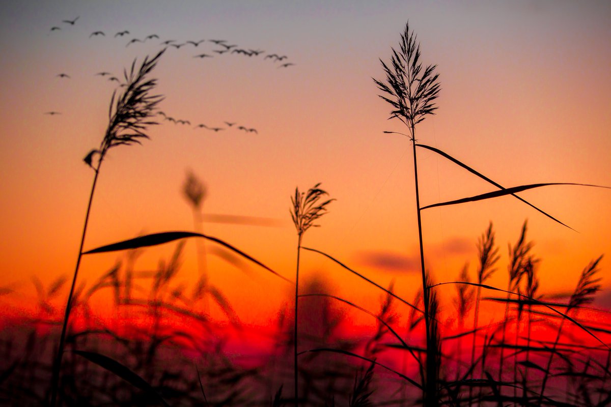 UKCampWild's tweet image. Wild camping can be a safe, fun way of getting out into the outdoors – an adventure that’s better than legal. Because it’s free.
#wildcamping #wildcamp #lovefreedom #campwilduk #ukcampwild #sleepingwild #wildcampuk #ukwildcamp #wildcampinguk #thegreatoutdoors #ukwildcamping