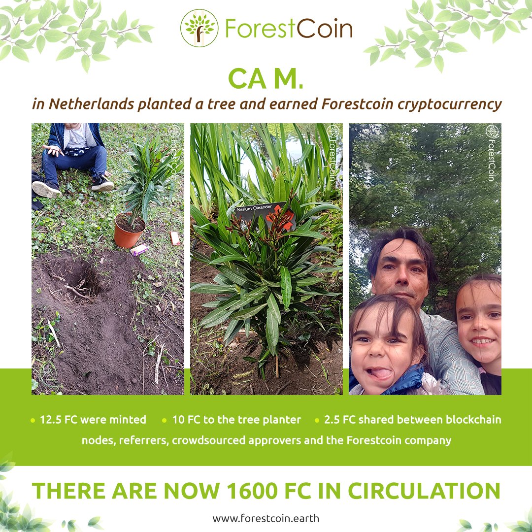 forestcoinearth's tweet image. CA M. @AmayoralC in Netherlands documented a tree planting with the Forestcoin app &amp;amp; earned 10FC.  #forestcoin is the #cryptocurrency that is good for the planet because every FC has been created by the planting of a tree. #selfiewithatree #plantatree  #climatechange #environment