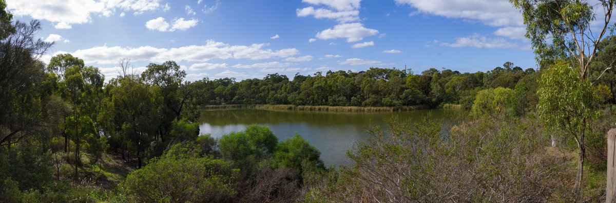 thepugnatious's tweet photo. A view of the lakes

#massisolation #massisolationaus #isoexercise #isolationcreation #lockdown #pentax #pentaxk1 #pentaxdaily #pentaxian #trees #nature #landscape #landscapephotography #naturephotography https://t.co/Gg9dIssn1F