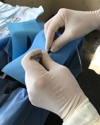 MarineInst's tweet photo. This week Atlantic #salmon were tagged as part of the @SeaMonitor1 proj. They will be tracked as they travel north to their feeding grounds. A wave glider will be deployed next week with a VMT receiver attached, here’s hoping for plenty of data! @loughsagency @VEMCO #marine https://t.co/KUqvQAQhLl