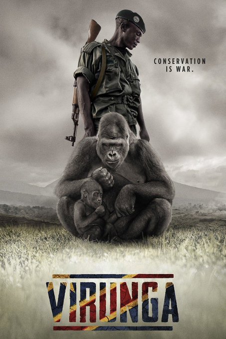 Guys a thread of amazing documentaries to watch now everyone is bored at home! Most of them are on Netflix