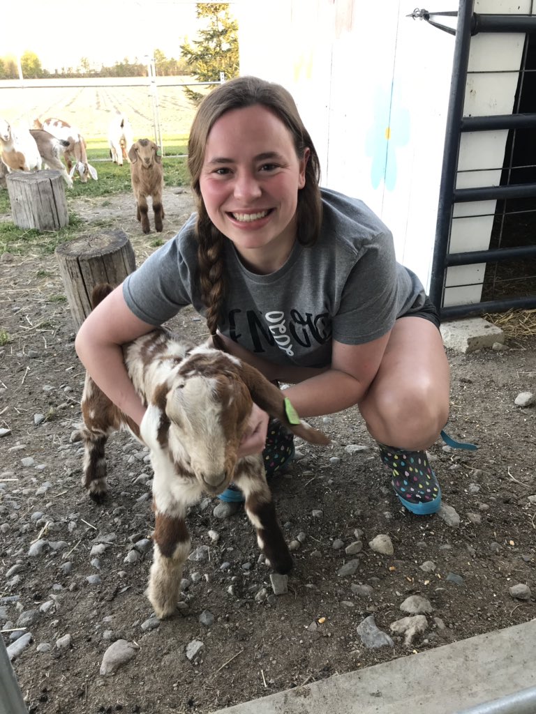 hjweber272000's tweet photo. Karly with her Goats @FFA_PH @karlyjo2020 https://t.co/0LvR875qNB