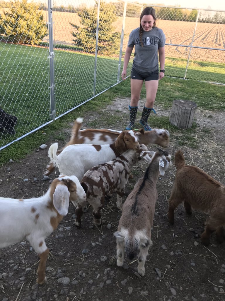 hjweber272000's tweet photo. Karly with her Goats @FFA_PH @karlyjo2020 https://t.co/0LvR875qNB