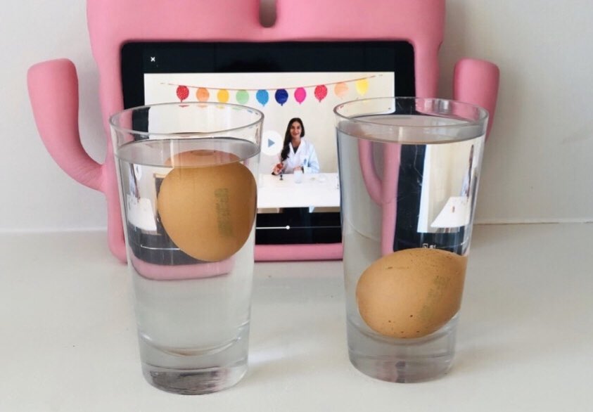 ReptonADFS2's tweet image. Eggcellent experiments boys and girls! We love seeing you use your investigation skills. Keep sharing! #primaryscience #RADRemoteLearning #sciencefromhome