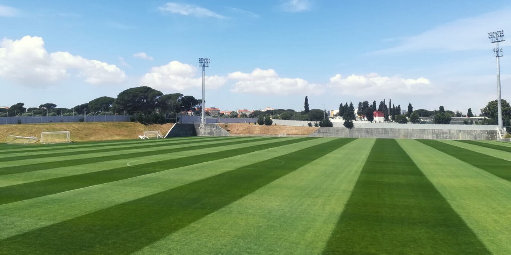 REDrelvados's tweet photo. #keeppinggrassalive

Assim está o #relvado de um #campodetreinos no #BenficaCampus.

Com o regresso aos #treinos, nada melhor do que encontrar o relvado em #perfeitascondições 👌 @SLBenfica 

#slbenfica #SLB #RED #pitch #workinprogress #TurfgrassExperts

https://t.co/sMOynWAnYk https://t.co/SrRiwU8hsp