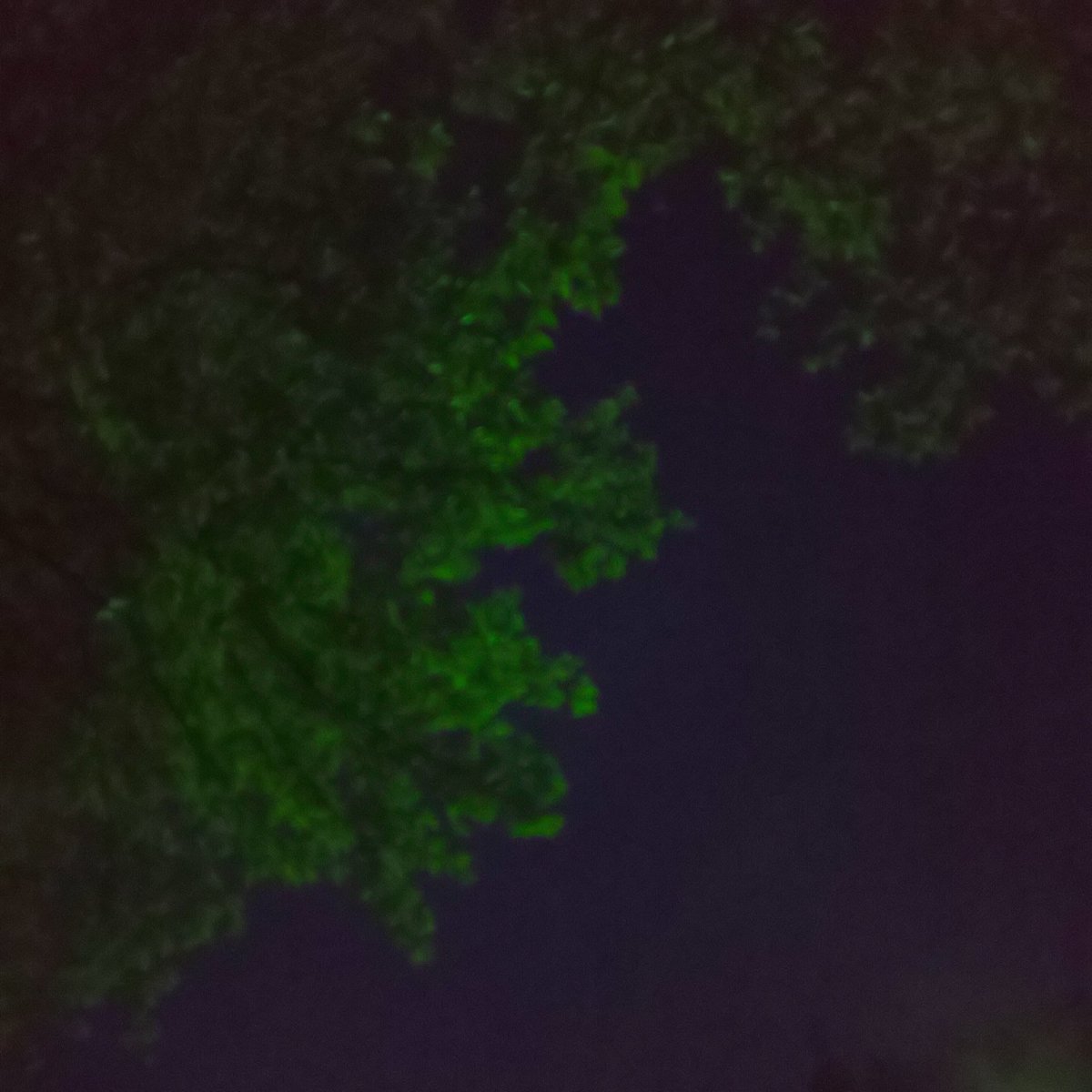 さざなみ (@sazanamikawa) on Twitter photo 