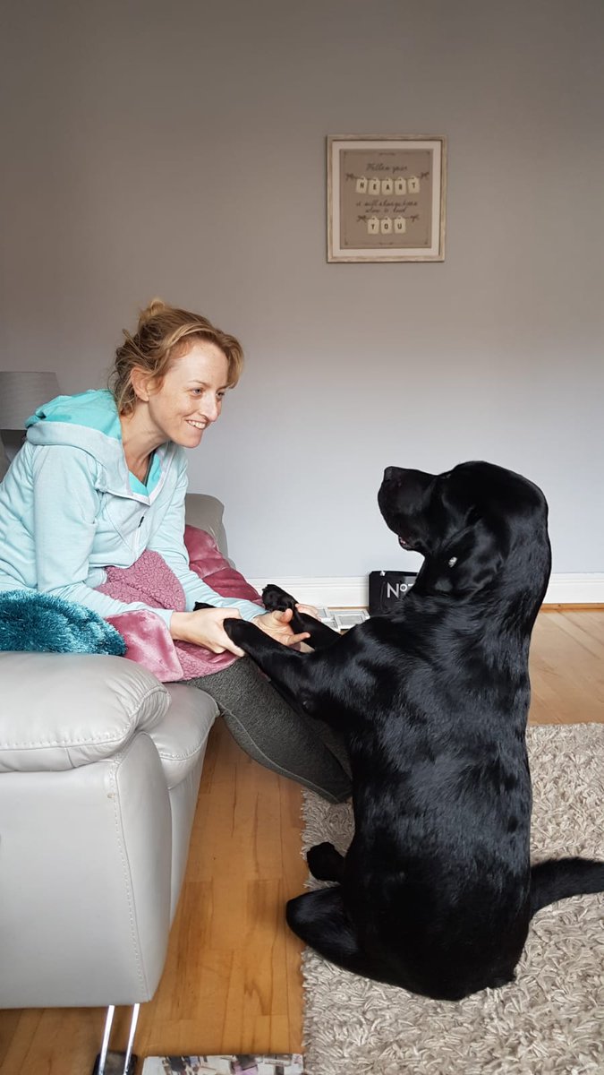MaireadOConnor8's tweet image. May 8th is #GuideDogDay @irishguidedogs Here's Upton (loves attention clearly!🥰) while he was in training. He's now helping someone in their daily life. Please help train more of these beauties by texting WOOF to 50300 or donate online at guidedogs.ie #ChangingLives
