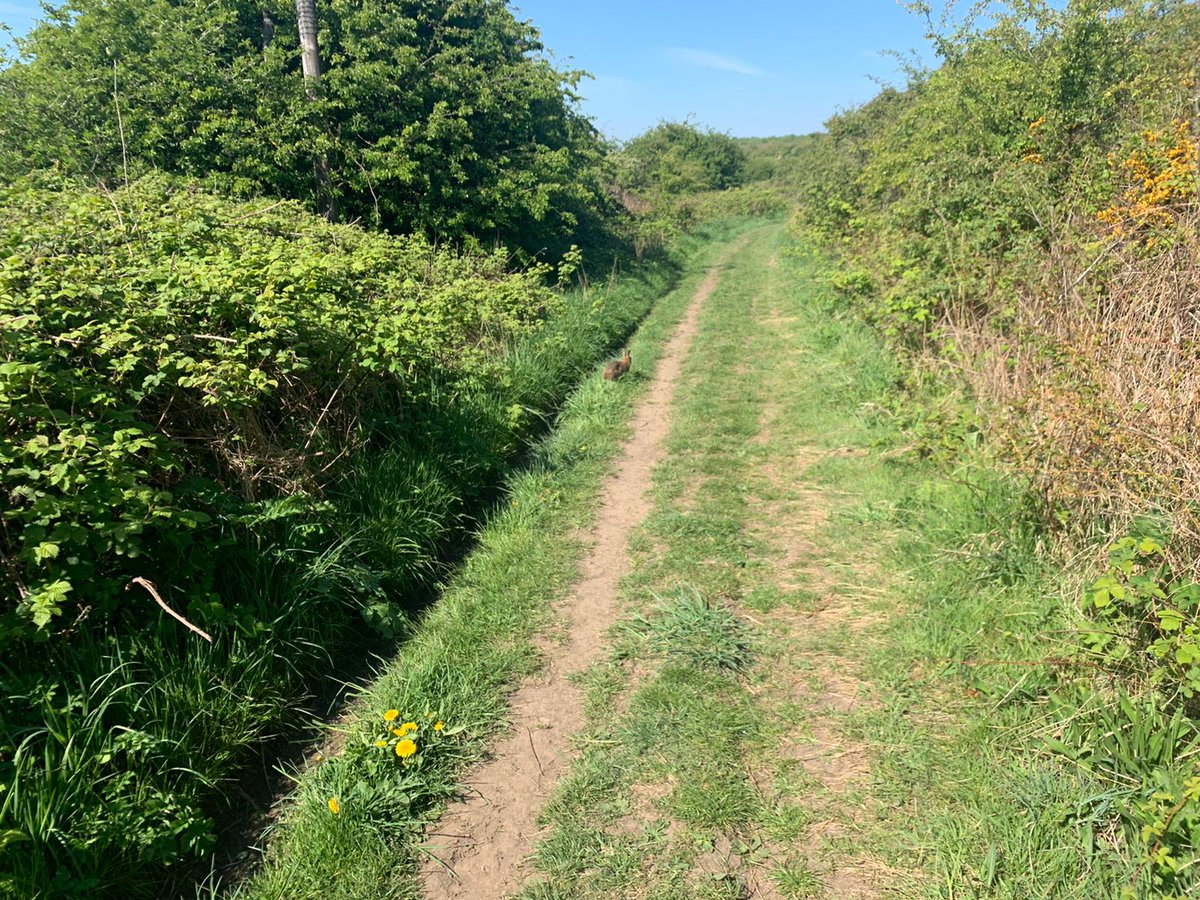 MindyTimney's tweet image. Another virtual 10k run done and a fabulous spinning medal! 👍 @fixevents #globalrunchallenge