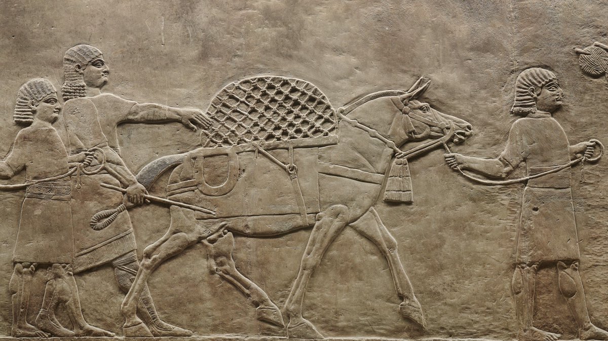 britishmuseum's tweet photo. Getting to Nineveh overland is easy thanks to Assyria’s royal road network. It’s quick and convenient to travel by donkey or mule, and there are food stalls along the way too🍽 Once you’re in the city, walking is the best way to see the sights https://t.co/6rKnqev1wP https://t.co/sk3yHKDati