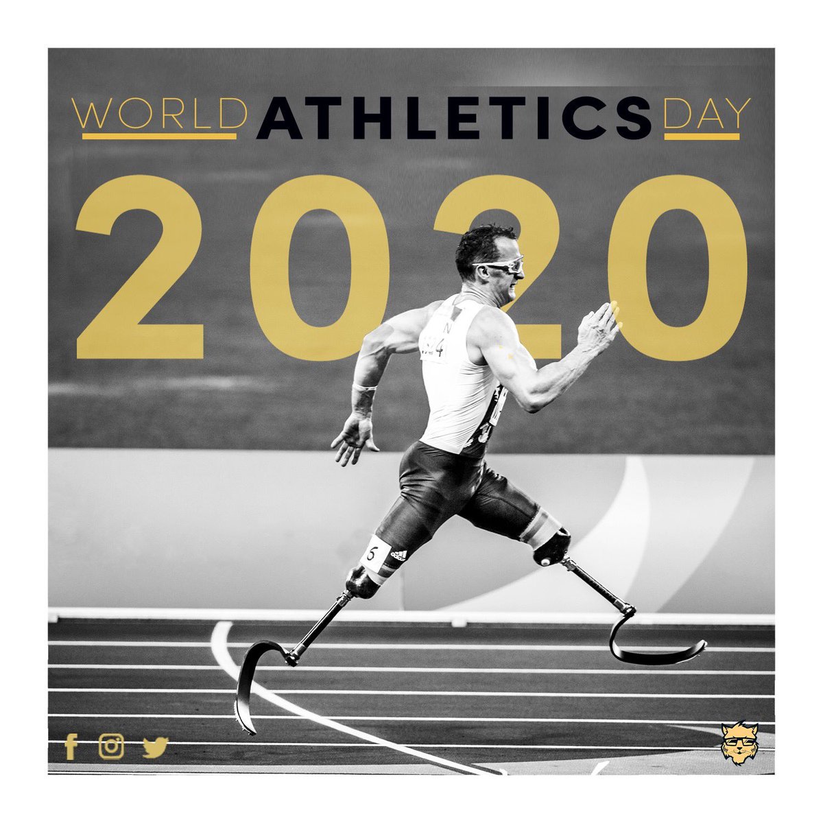 FreakIndia's tweet photo. Let’s increase awareness about sports and educate youngsters about the importance of sports on this WORLD ATHLETICS DAY.⁠
⁠
#freakindia #Athletics #basketball #sports #WorldAthleticsDay #SpreadTheWord #awareness #YoungOne #IMPORTANTE #sport #Fights #Covid_19 #coronavirus https://t.co/NL5EVzTsQC