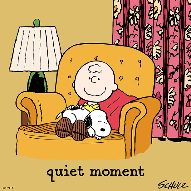 Taking in the quiet moments.