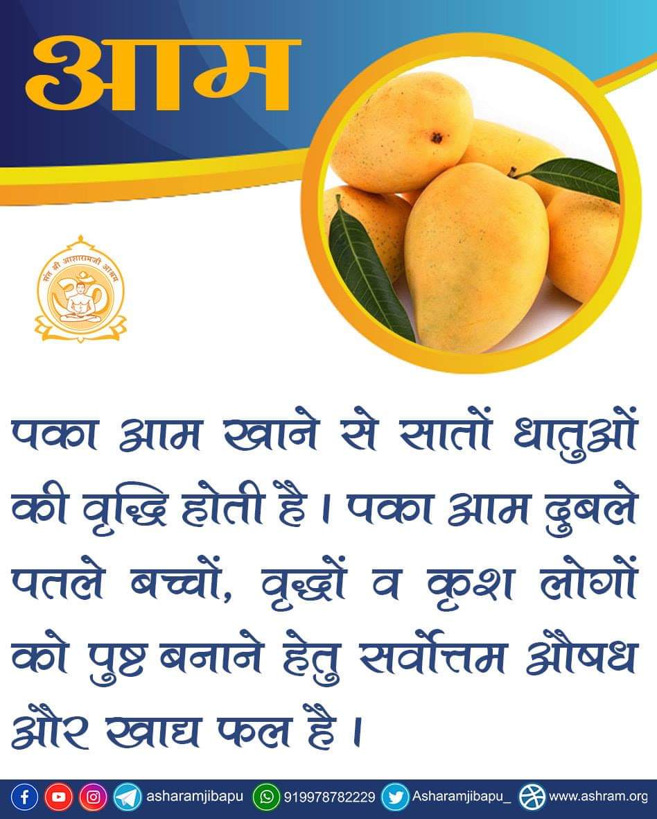 asharamjibapu_'s tweet photo. पका आम खाने से सातों धातुओं की वृद्धि होती है। पका आम दुबले पतले बच्चों, वृद्धों व कृश लोगों को पुष्ट बनाने हेतु सर्वोत्तम औषध और खाद्य फल है।

आम चूसकर खाना आँखों के लिए हितकर है।यह उत्तम प्रकार का हृदयपोषक है तथा शरीर में छुपे हुए विष को बाहर निकालता है।
https://t.co/OCQikAoOLJ https://t.co/knNMJ5yMxO