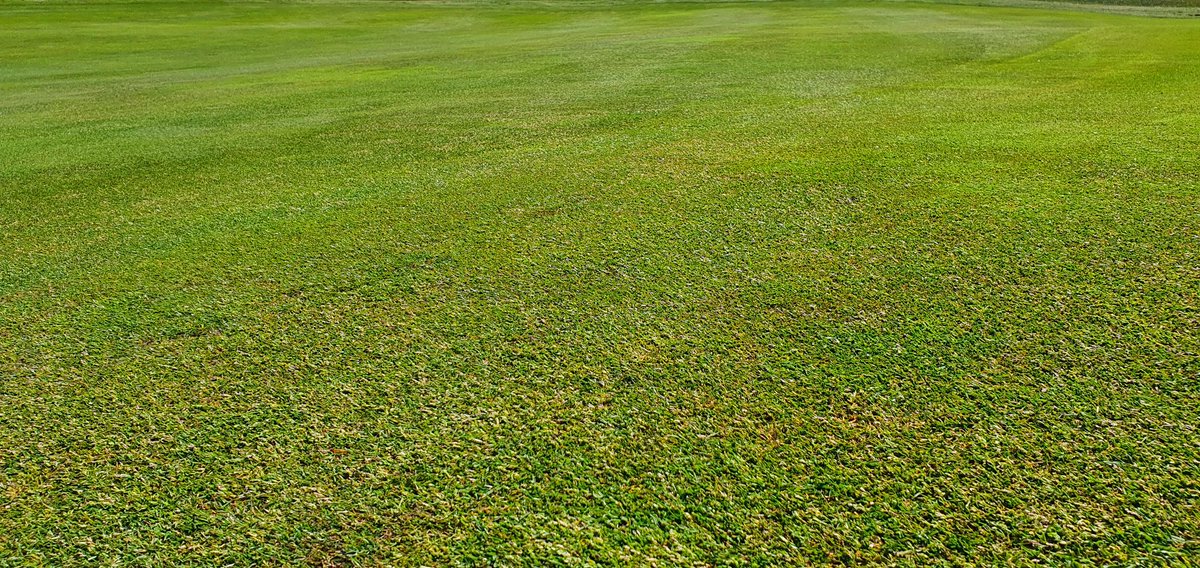 So Yesterday's hole was the 16th. So what's it going to be today?? Who knows. In my opinion this is the toughest one yet.This is a real test. So then which hole is it today ??