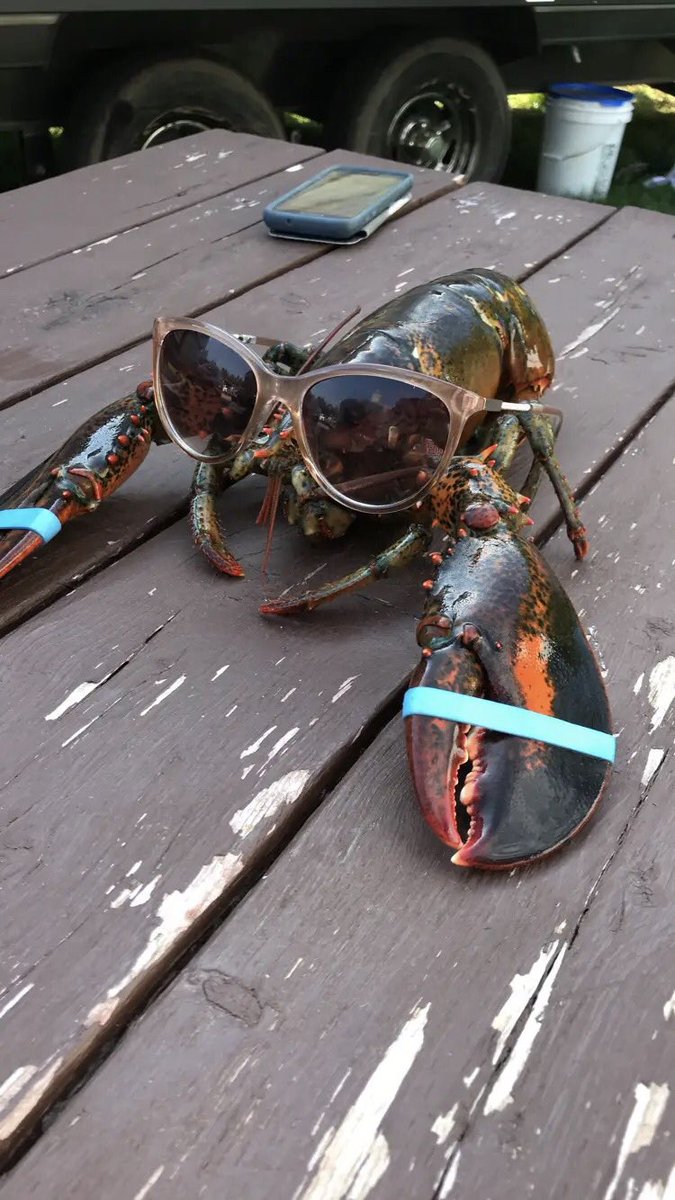 farrow_morgan's tweet photo. How people from Ontario see people from the Maritimes https://t.co/1hKfuqtkEU