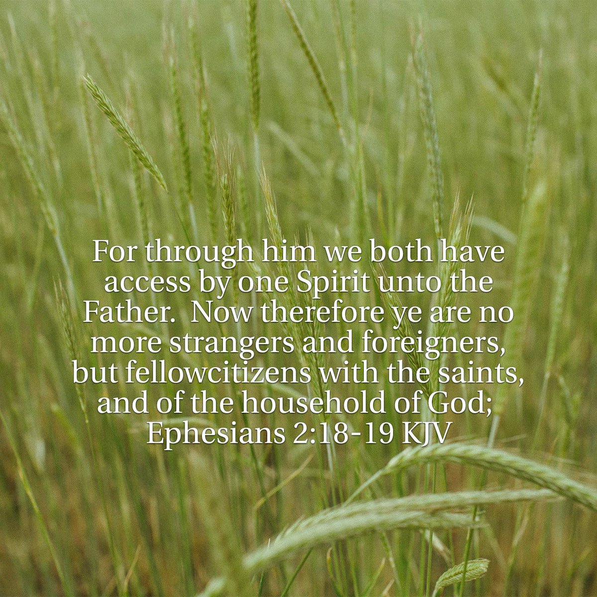 WordIntl's tweet image. (We are Sons and Daughters in the Household of Father God!)
For through him we both have access by one Spirit unto the Father.  Now therefore ye are no more …
bible.com/bible/1/eph.2.…