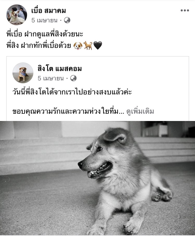 — ;♡ มีนมีน 🐋 tweet media