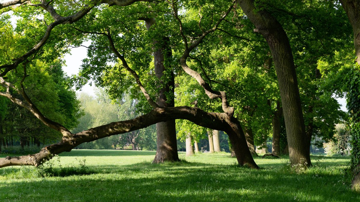 rossmackenzie's tweet photo. Three Parks Walk (OX3 version): South Park, Headington Hill Park & Bury Knowle Park. #exercisehour #getoutside #oxford #greenspaces https://t.co/rEiOV98o6O