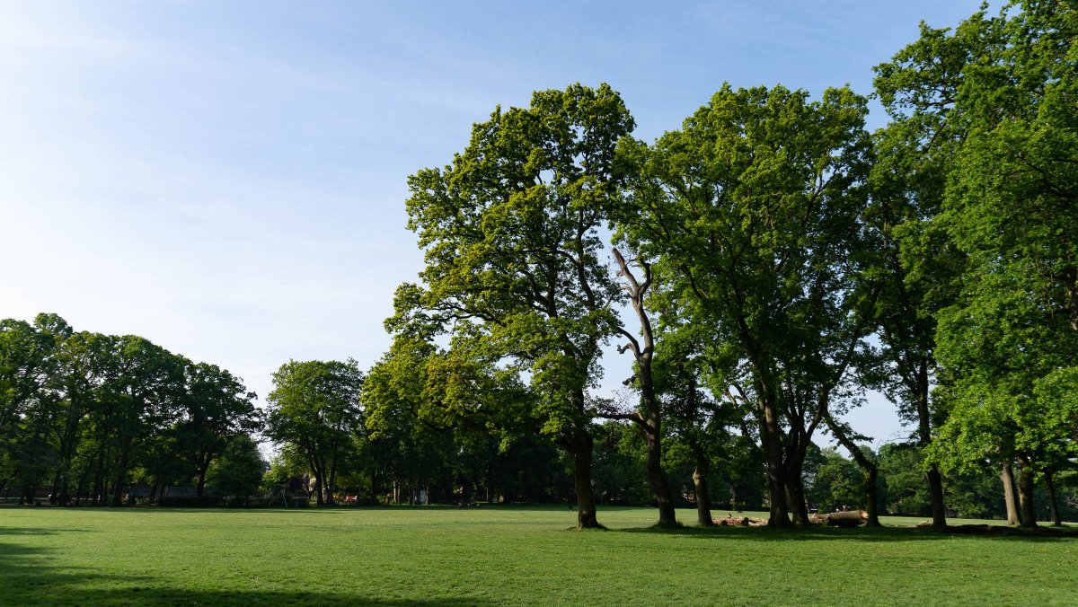 rossmackenzie's tweet photo. Three Parks Walk (OX3 version): South Park, Headington Hill Park & Bury Knowle Park. #exercisehour #getoutside #oxford #greenspaces https://t.co/rEiOV98o6O