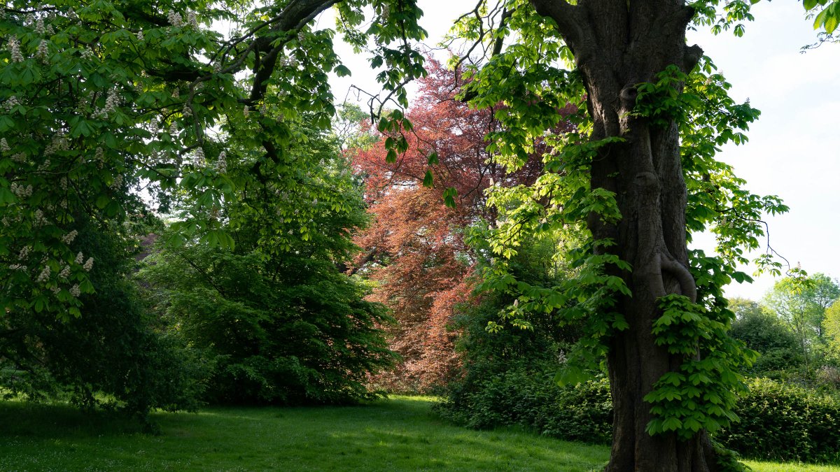 rossmackenzie's tweet photo. Three Parks Walk (OX3 version): South Park, Headington Hill Park & Bury Knowle Park. #exercisehour #getoutside #oxford #greenspaces https://t.co/rEiOV98o6O