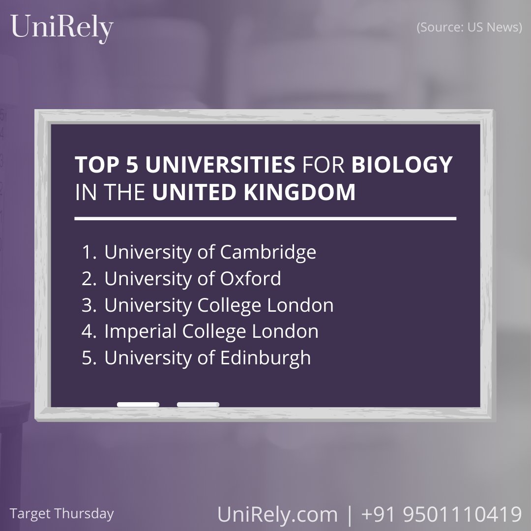 UniRely's tweet photo. Top 5 Universities for Biology in the United Kingdom👆
#unirely #topcolleges #topuniversities #collegesinuk #studyintheuk #studyinuk #universitiesinuk #top5universities #biologystudents #studybiology #biostudents #studybio #biochemistry #biologystudy #biologycollege https://t.co/W4FH80eAut
