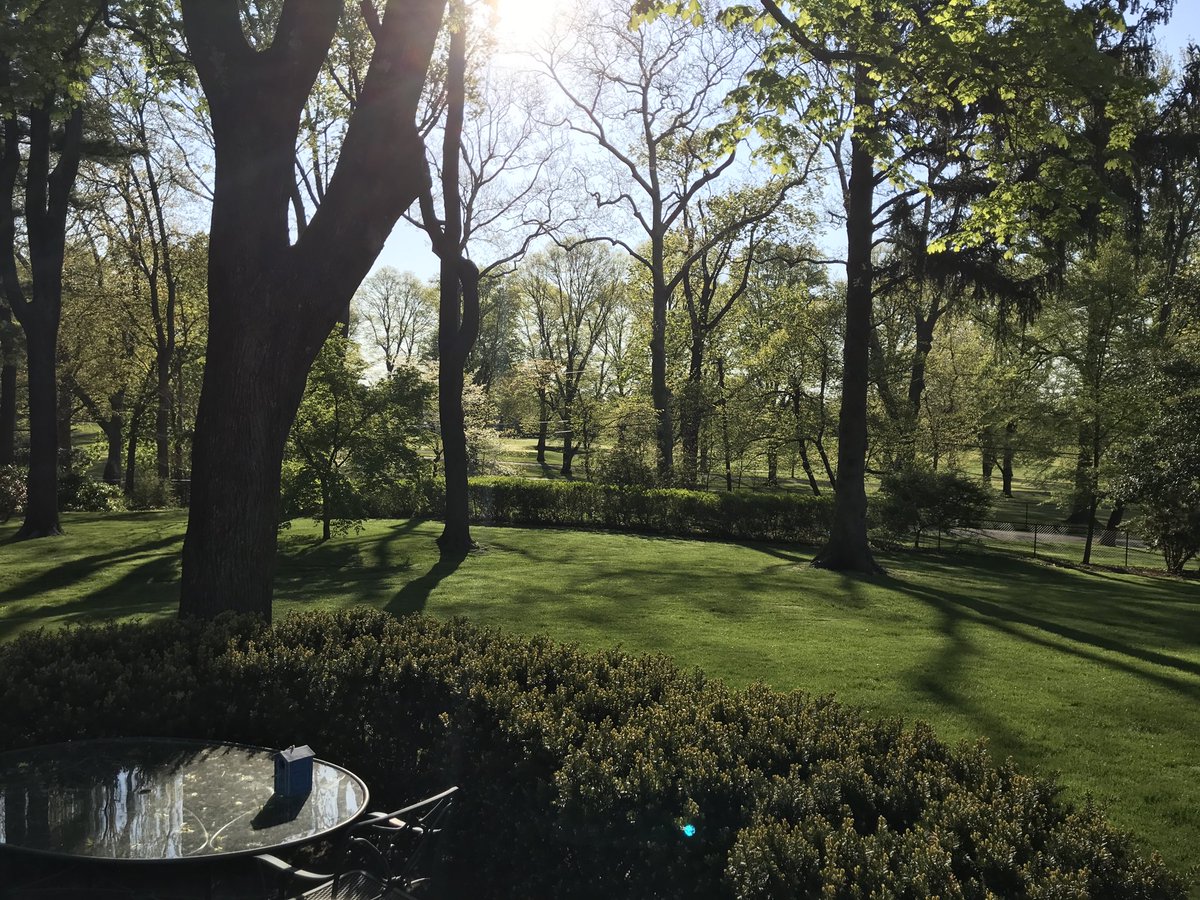 What a glorious morning in old Locust Valley...who needs NYC!!