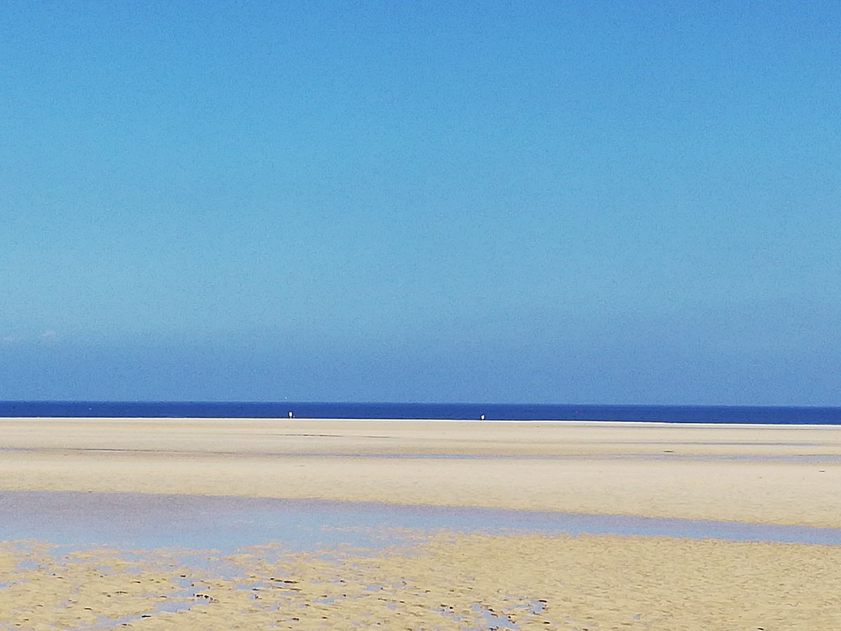 mel gilbert tweet media