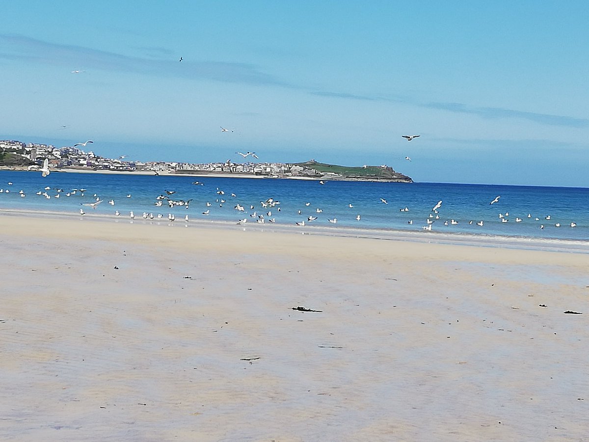 mel gilbert tweet media